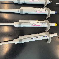 Eppendorf Research Plus Single Channel Pipettes - Quantity 15 image 1